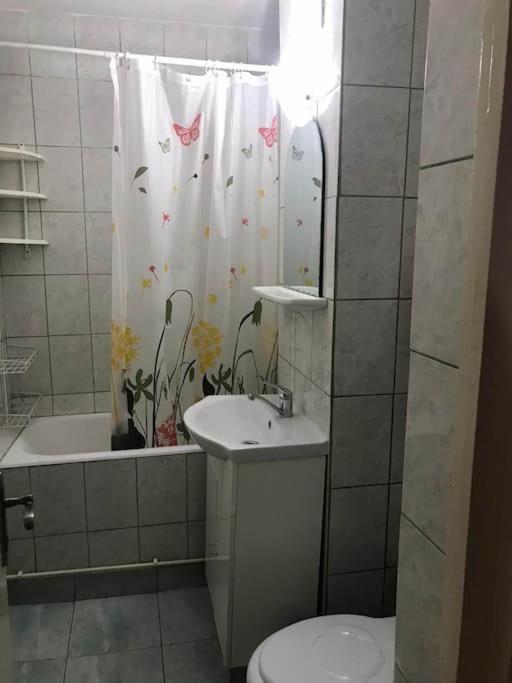 Apartament Confortabil Питешти Экстерьер фото